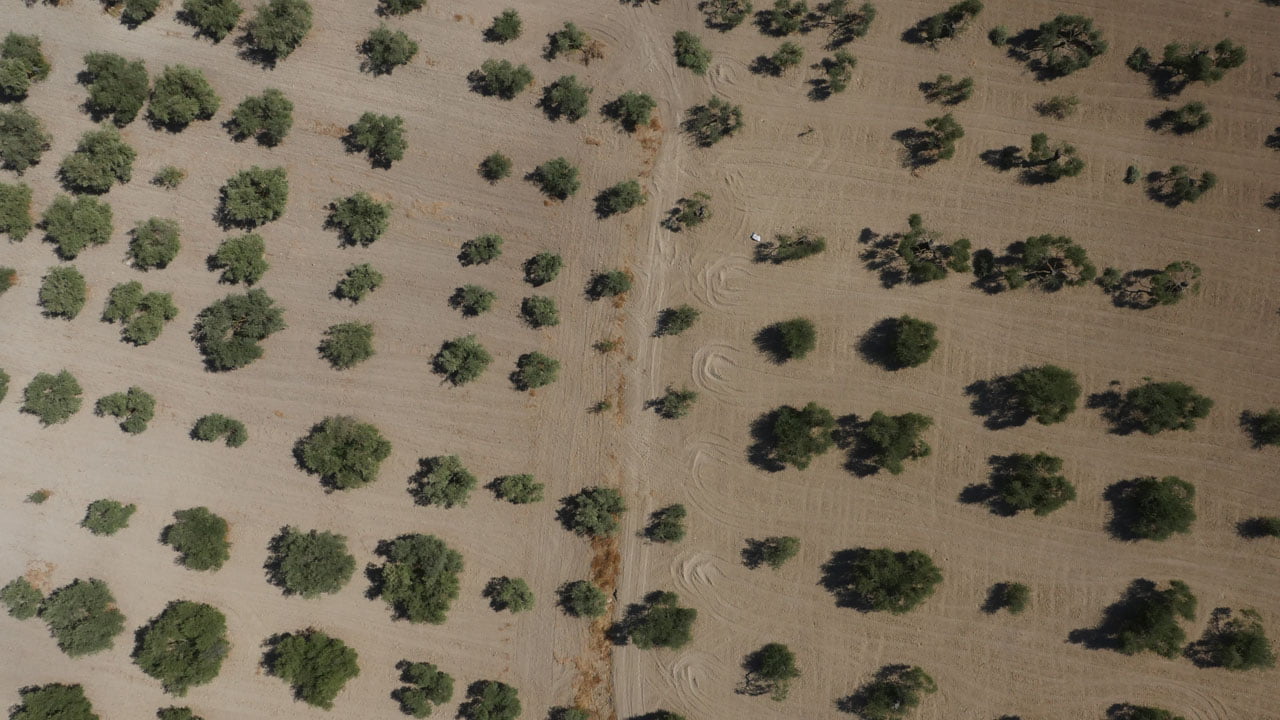fotografía aérea con drones para agricultura